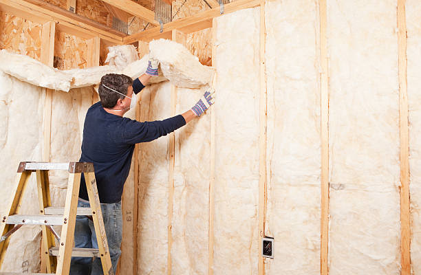 Types of Insulation We Offer in Davisboro, GA